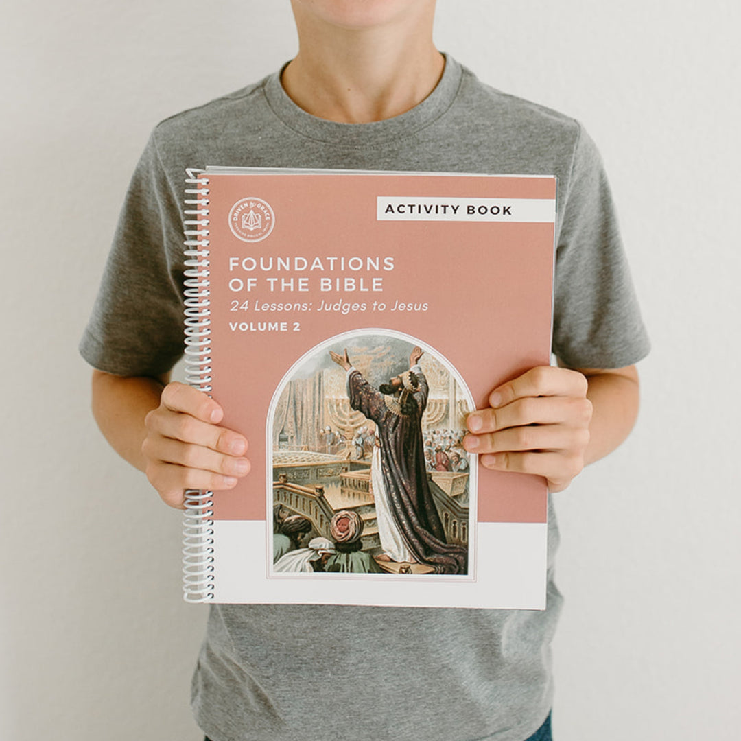 Foundations of the Bible Vol. 2: Judges to Jesus (Group License)