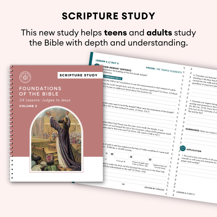 Foundations of the Bible Vol. 2: Judges to Jesus