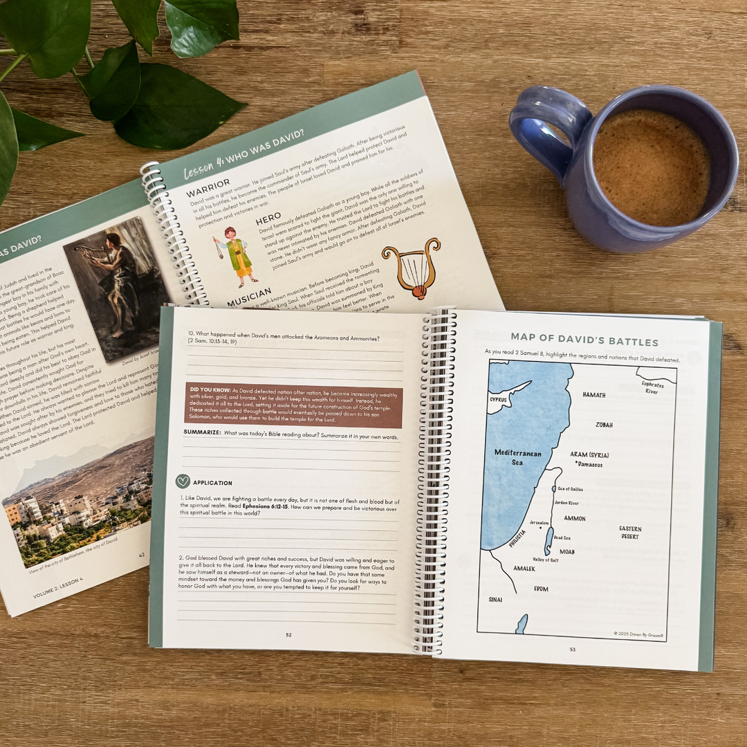 Foundations of the Bible Vol. 2: Judges to Jesus