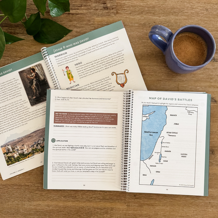 Foundations of the Bible Vol. 2: Judges to Jesus