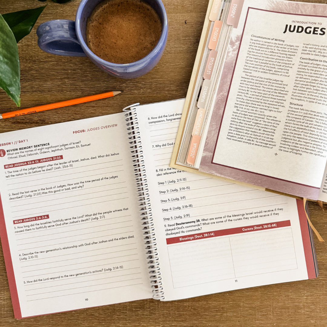 Foundations of the Bible Vol. 2: Judges to Jesus