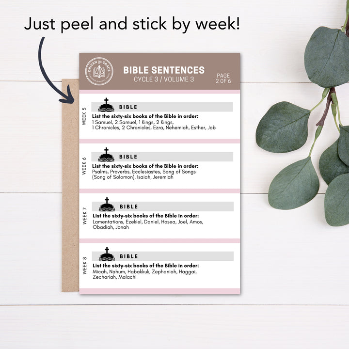 Bible Sentence Stickers — Vol. 3