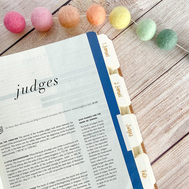 Bible Tabs | Soft Pink