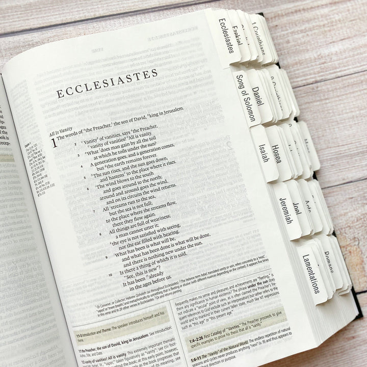 Bible Tabs | Neutral Gray