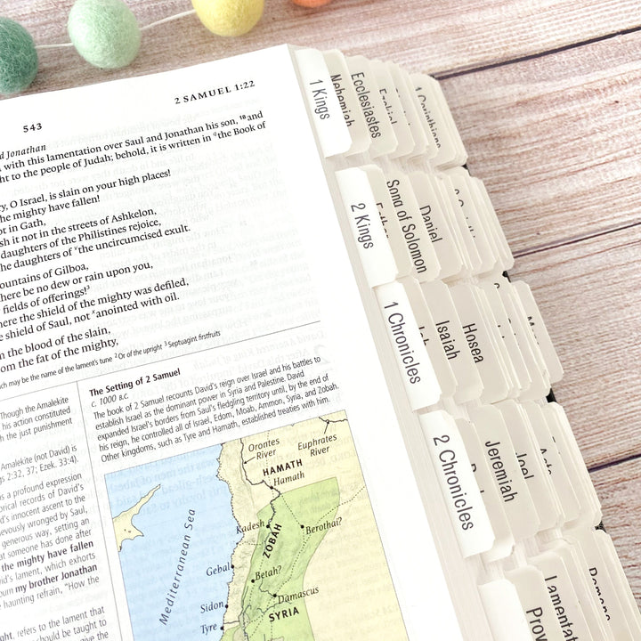 Bible Tabs | Neutral Gray
