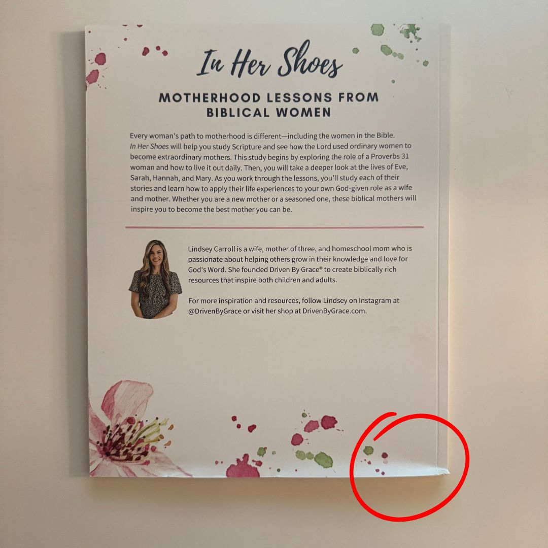 In Her Shoes: Motherhood Lessons From Biblical Women *BLEMISH*