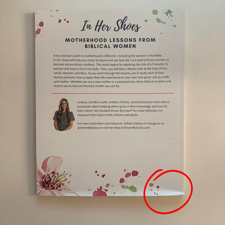 In Her Shoes: Motherhood Lessons From Biblical Women *BLEMISH*