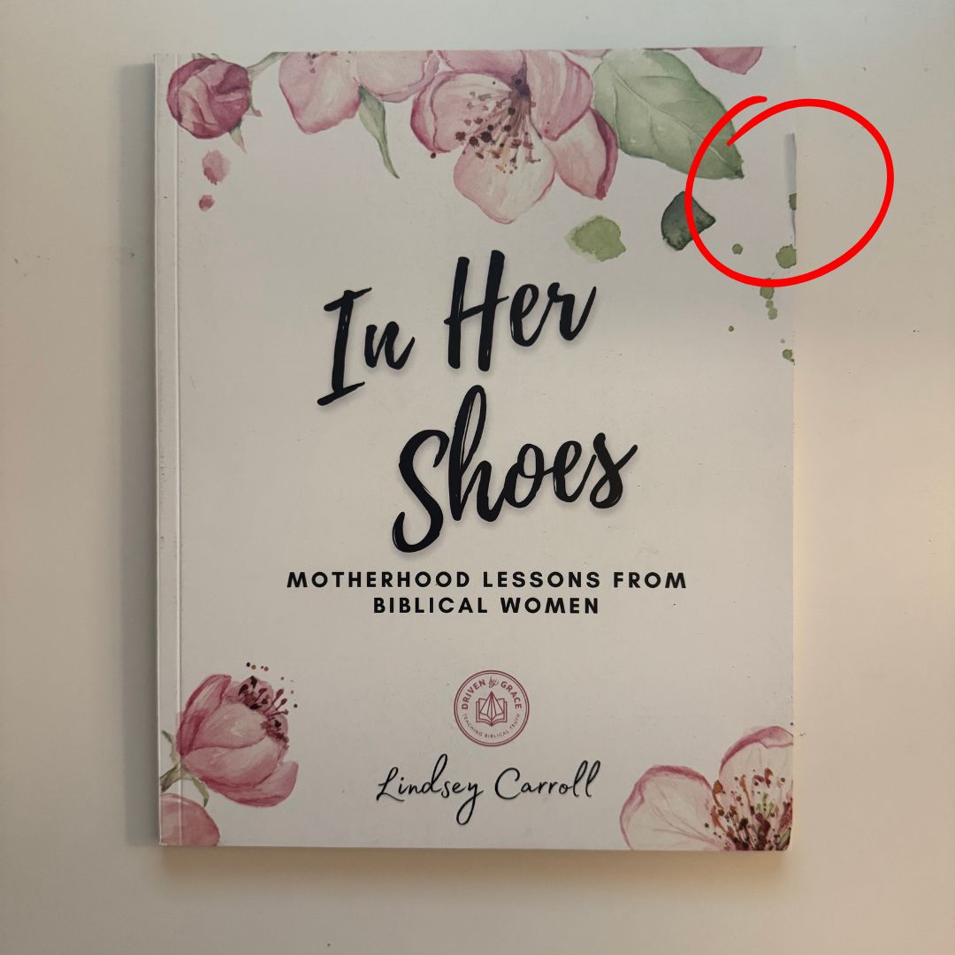 In Her Shoes: Motherhood Lessons From Biblical Women *BLEMISH*