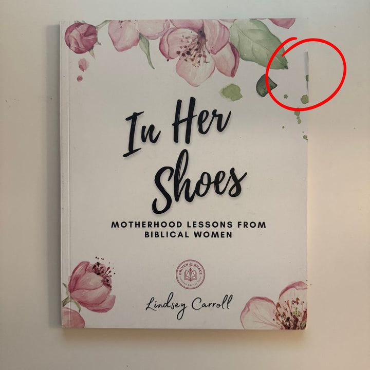 In Her Shoes: Motherhood Lessons From Biblical Women *BLEMISH*